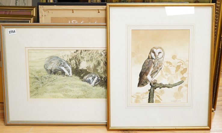 George Hayhurst (b.1954), Study of a barn owl with prey and Two badgers, each signed, one dated 1986, one with Chichester House Gallery label verso, two watercolours, largest 20 x 37cm